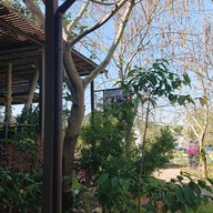 บรรยากาศ Seven Ozone @ Flora Park