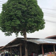 บรรยากาศ ถนนคนเดินเชียงคาน