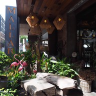 บรรยากาศ Mallard