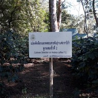 ศูนย์พัฒนาโครงการหลวง แม่หลอด