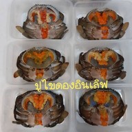 เมนูของร้าน ปูไข่ดองอินเลิฟ อุดมสุข51 ประวิทย์และเพื่อน8/2