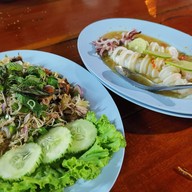 ดาวรุ่งทรายแดง