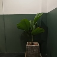 Garden Gastronomy Bar