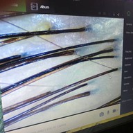 เมนูของร้าน Bee Choo Origin Herbal Thailand รัชดา