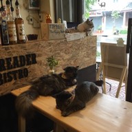 บรรยากาศ The Gypsy Reader Books & Bistro