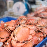 ตลาดนัดอาหารทะเล ท่าเรือพลี