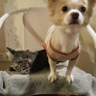 The Gypsy Reader Books & Bistro