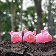 สถานีส่งเสริมการอนุรักษ์สัตว์ป่าเขาน้ำพุ