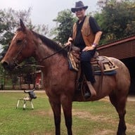 พี ซี คาวบอยทาว์น