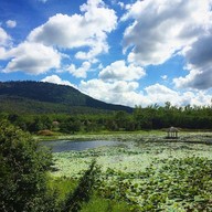 บรรยากาศ ศูนย์ท่องเที่ยวเชิงอนุรักษ์ป่าเขาภูหลวง (วังน้ำเขียว)