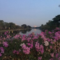 สวนนวมินทร์ภิรมย์