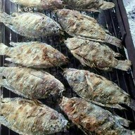 ร้านลูกจิ๊บไก่หัน