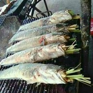 ร้านลูกจิ๊บไก่หัน