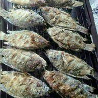 ร้านลูกจิ๊บไก่หัน