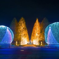 บรรยากาศ kyoto