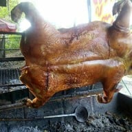 ร้านลูกจิ๊บไก่หัน