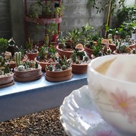 เฮฮา กาแฟสด