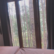 สวนป่าดอยบ่อหลวง