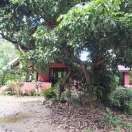 My Secret Cafe