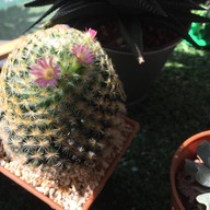 บรรยากาศ เทียนหอม โฮมคาเฟ่