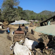 ปางช้างแม่ตะมาน