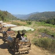 ปางช้างแม่ตะมาน