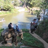 ปางช้างแม่ตะมาน