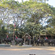 ปางช้างแม่ตะมาน