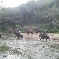 ปางช้างแม่ตะมาน