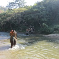 ปางช้างแม่ตะมาน