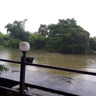 ลุงนพอาหารป่า