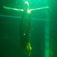 บรรยากาศ เชียงใหม่ซูอควาเรียม