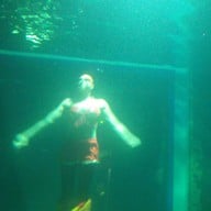 บรรยากาศ เชียงใหม่ซูอควาเรียม