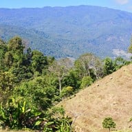 ม่อนแกะ