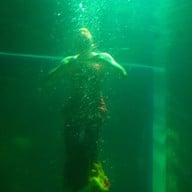 บรรยากาศ เชียงใหม่ซูอควาเรียม