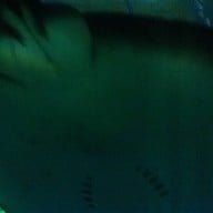 บรรยากาศ เชียงใหม่ซูอควาเรียม