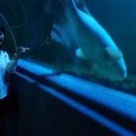 บรรยากาศ เชียงใหม่ซูอควาเรียม