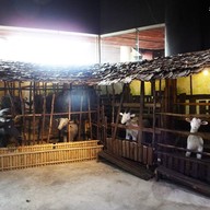 บรรยากาศ เซ็นทรัลกาดสวนแก้ว