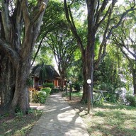 วารี วัลเล่ย์