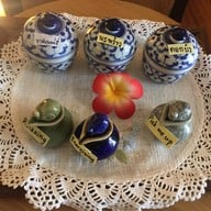 Peony Beauty & Spa