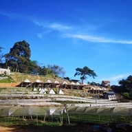 ผิงไฟแคมป์ อินทนนท์