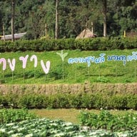 บรรยากาศ ดอยอ่างขาง