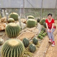 บรรยากาศ ดอยอ่างขาง