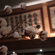 บรรยากาศ Hakata Ippudo Ramen