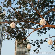 บรรยากาศ Sense of The Sea