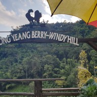 บรรยากาศ Pong Yeang Berry-windy Hill Windy Hill