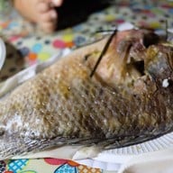 ครัวพรสวรรค์ ดอยเสมอดาว