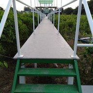 บรรยากาศ UMB FARM