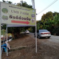 บรรยากาศ UMB FARM