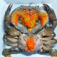 เมนูของร้าน Green Bar and Restaurant (กรีน ดอนเมือง)